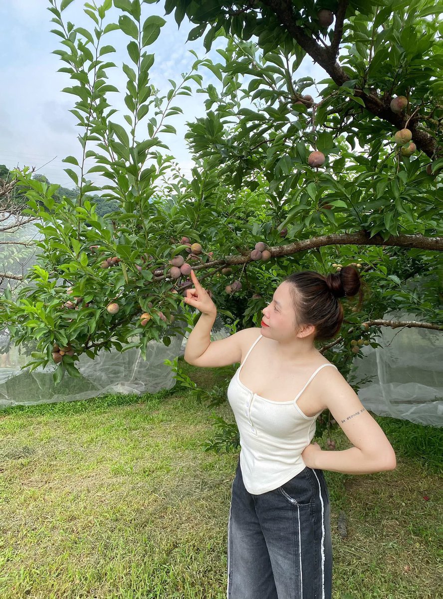 Hihi Haha tweet media