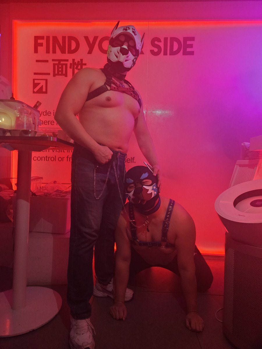 바롱 🐶 tweet media