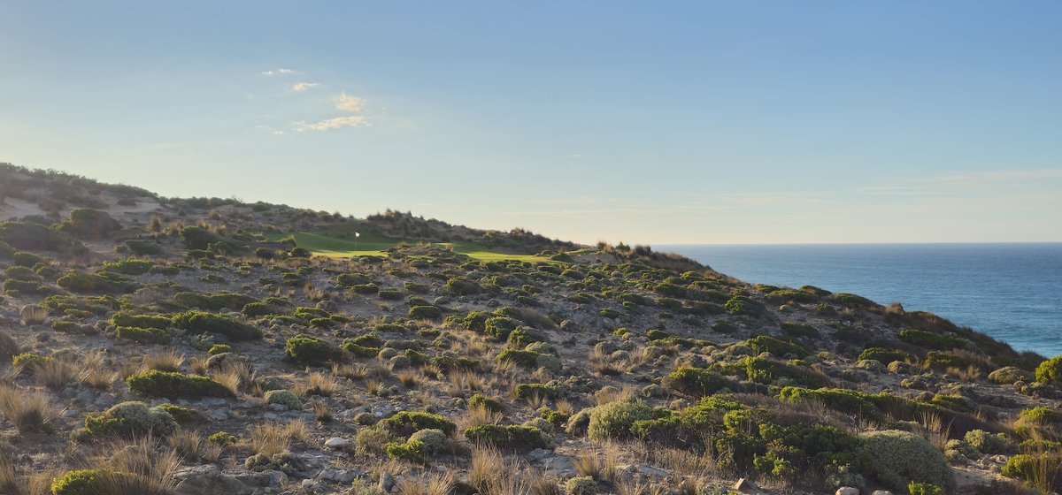 Darius Oliver tweet media