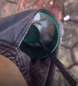 VISTA 🟣 tweet media