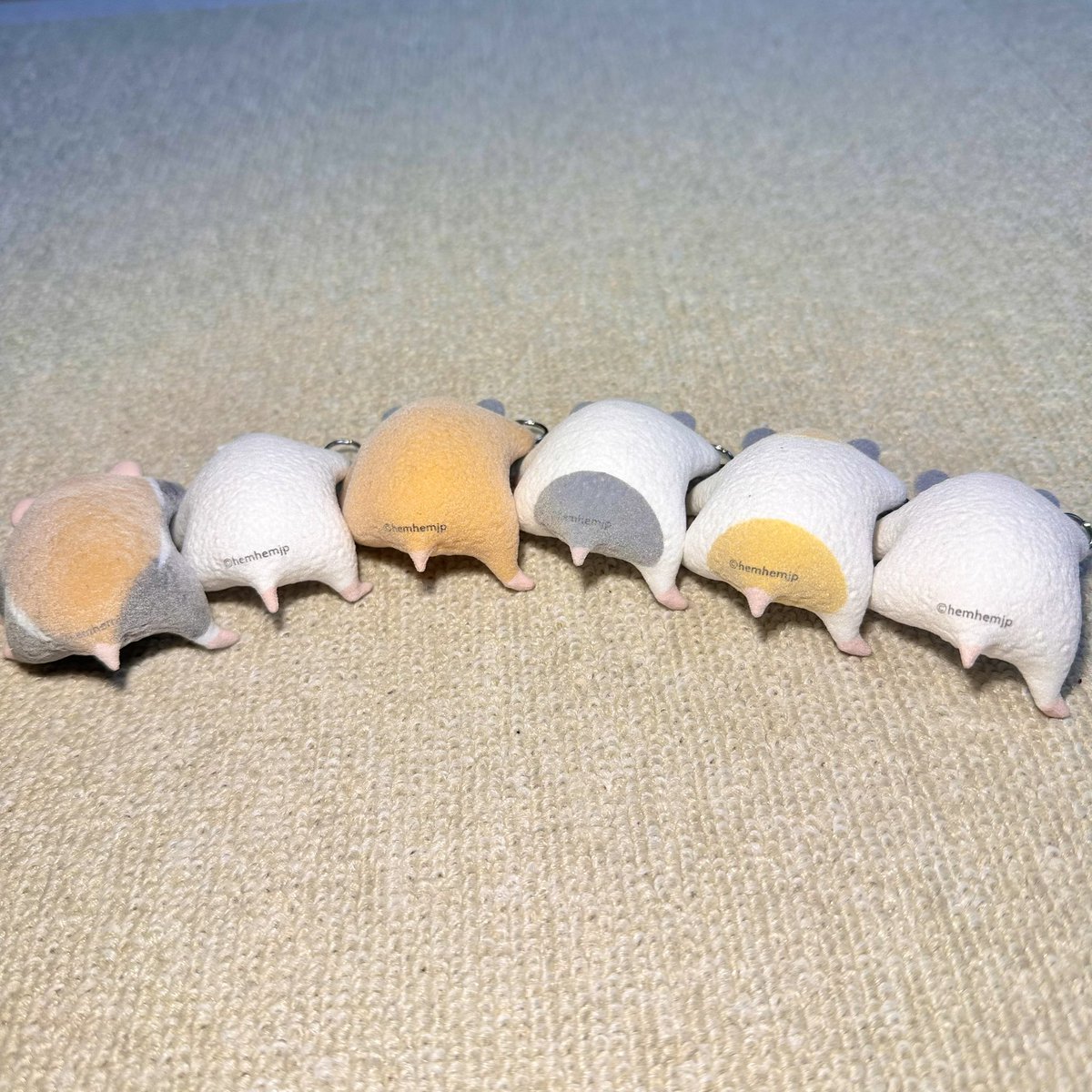 hemhemjp tweet media