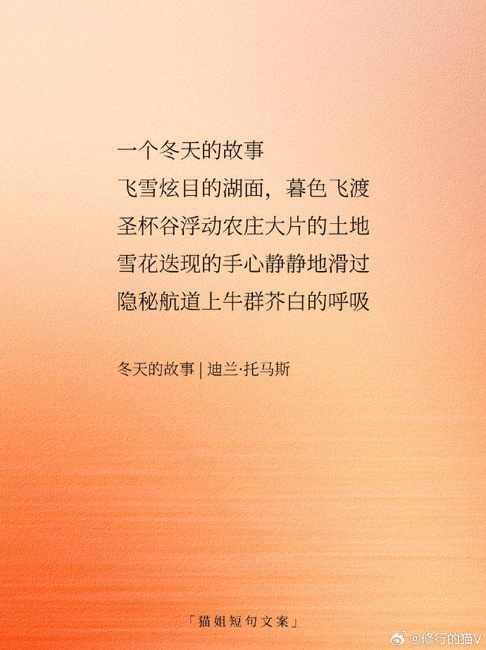 Diane Tate tweet media