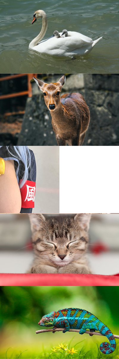 おとはらら tweet media