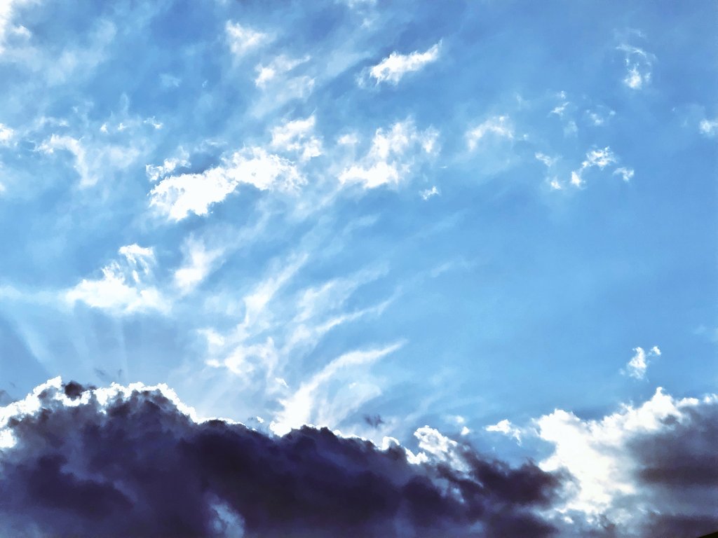 beni-hoppe tweet media