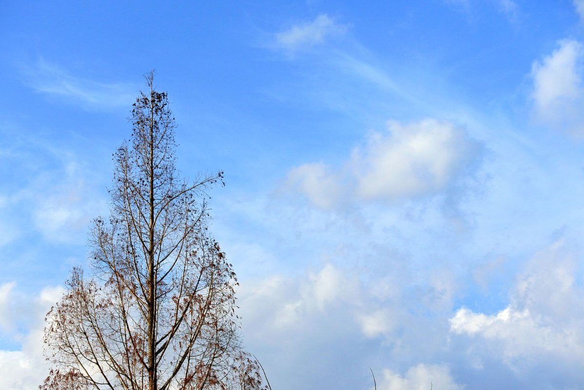 beni-hoppe tweet media