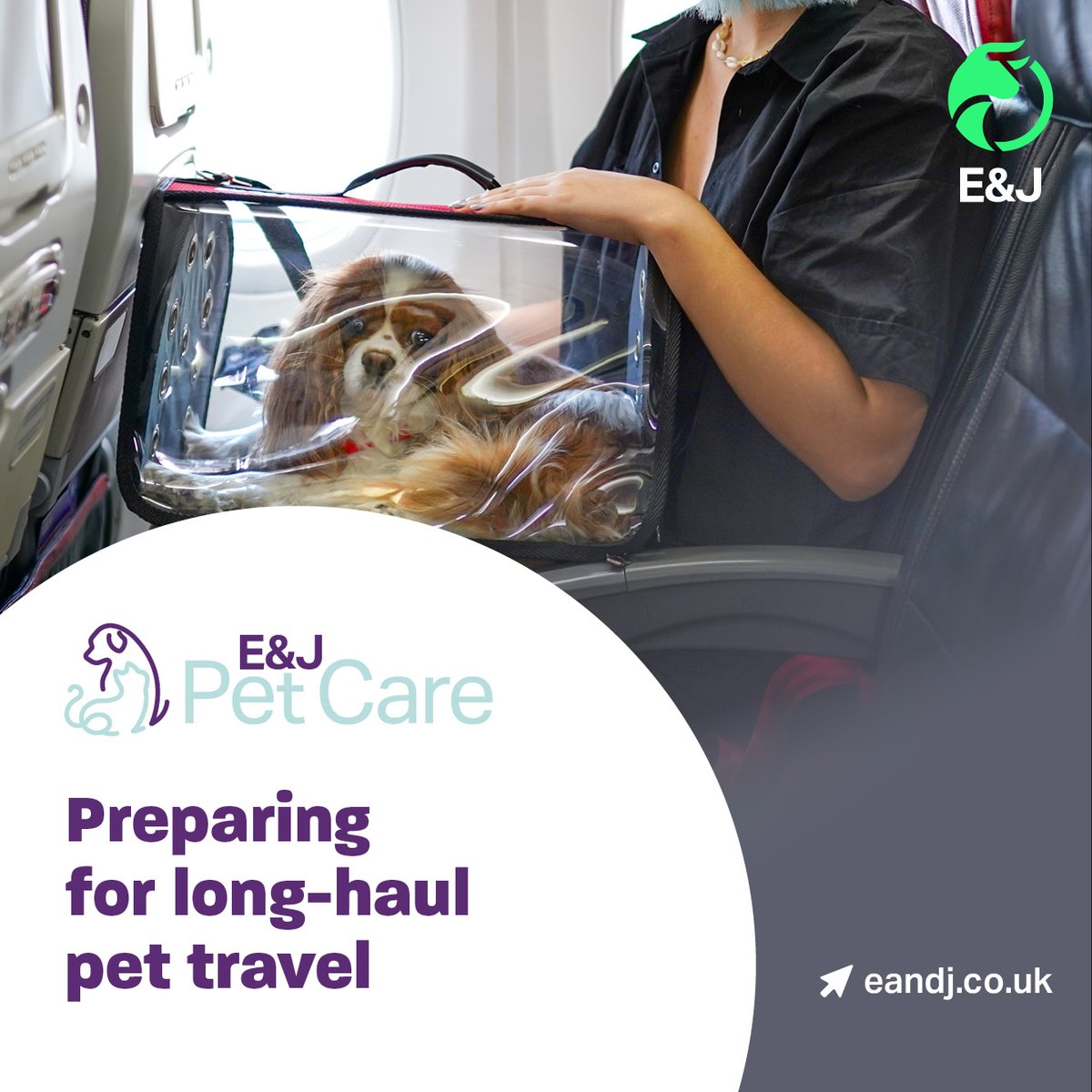 Planning a long-haul trip with your pet? We can help you prepare. 

Whether you’re travelling overseas for a holiday or relocating permanently, we can support with documentation, vaccinations and arrival requirements. 

Find out more: eandj.co.uk/preparing-for-…