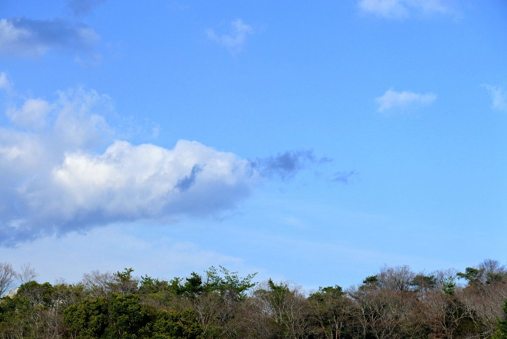 beni-hoppe tweet media