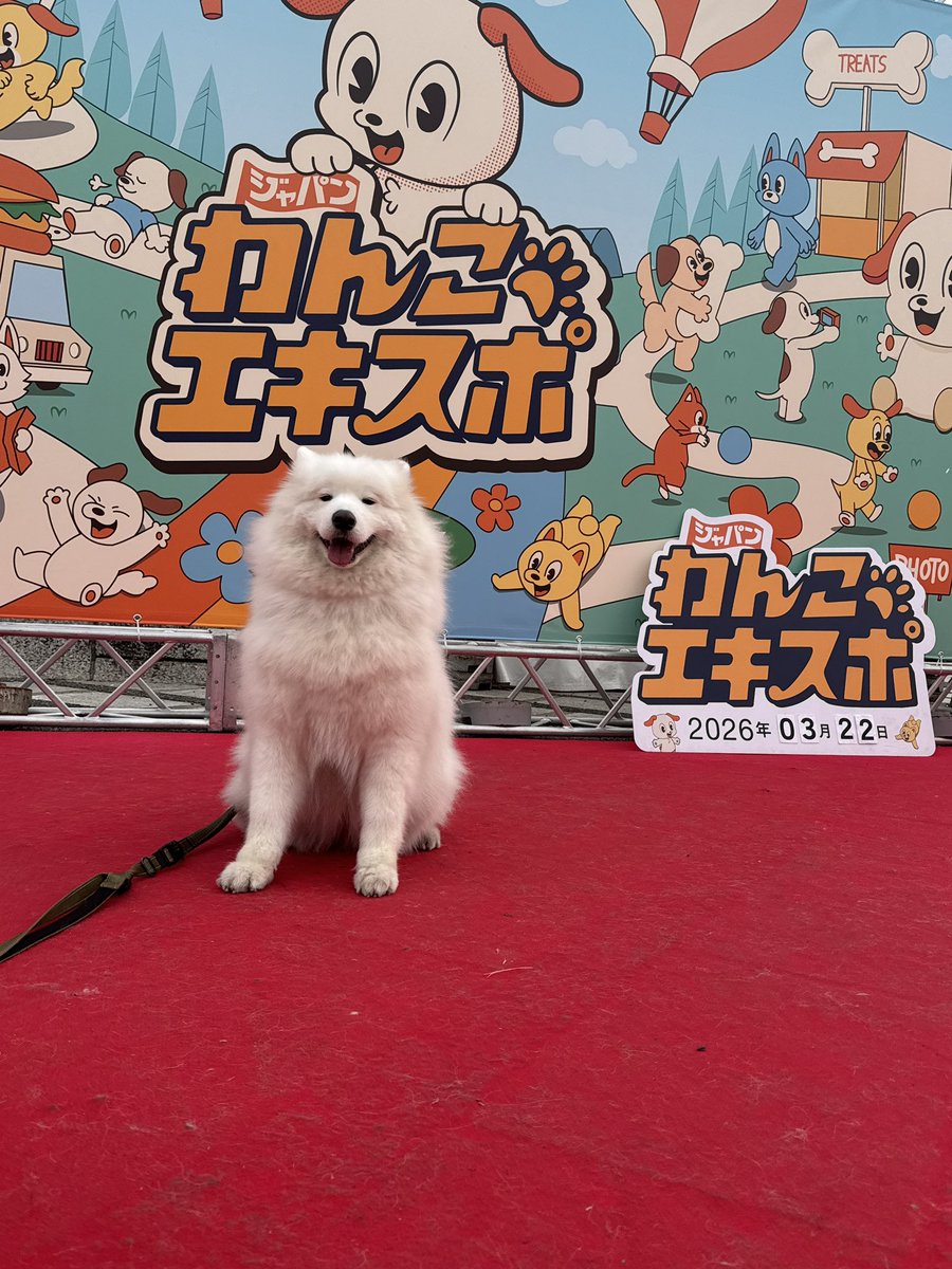 駒沢公園で開催されていたわんこエキスポに遊びに行ってきました