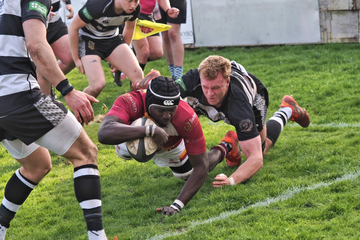 Fylde Rugby tweet media