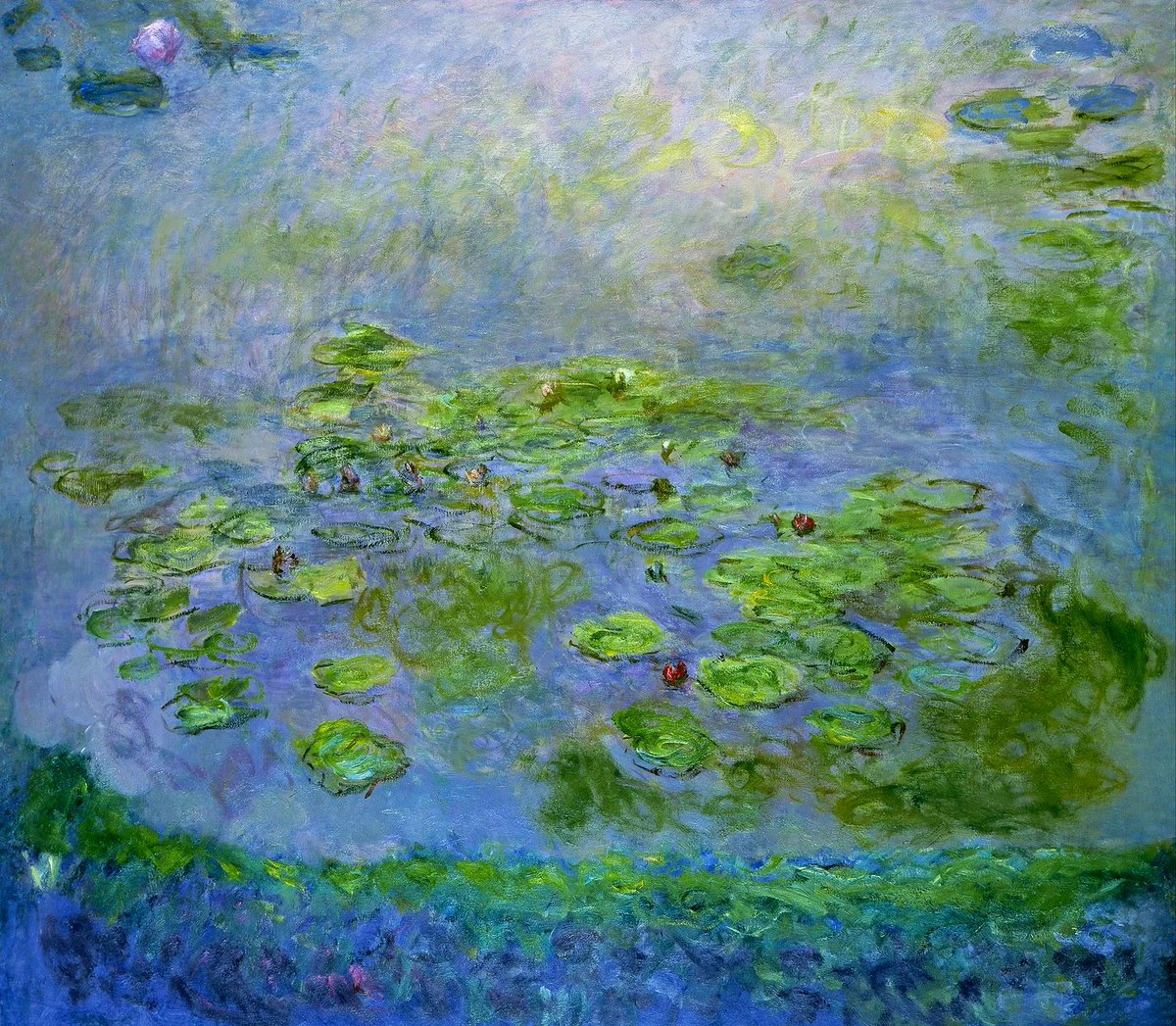 mar pía garcía tweet media