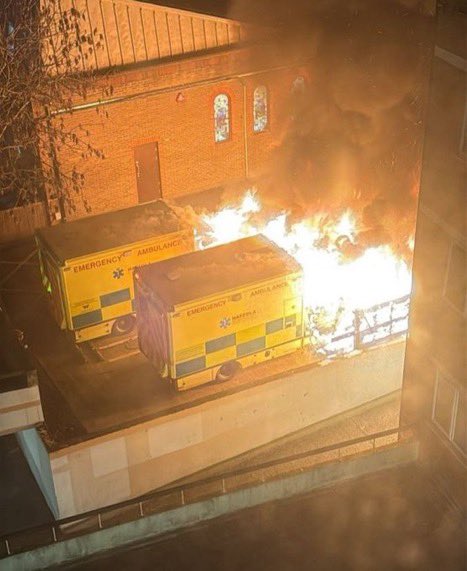 Idan Levy tweet media