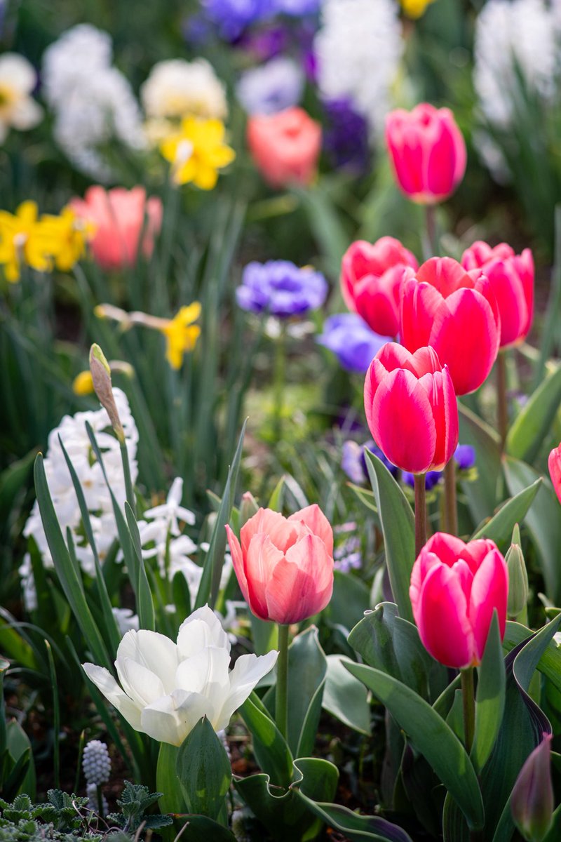 じょー(o314110) tweet media