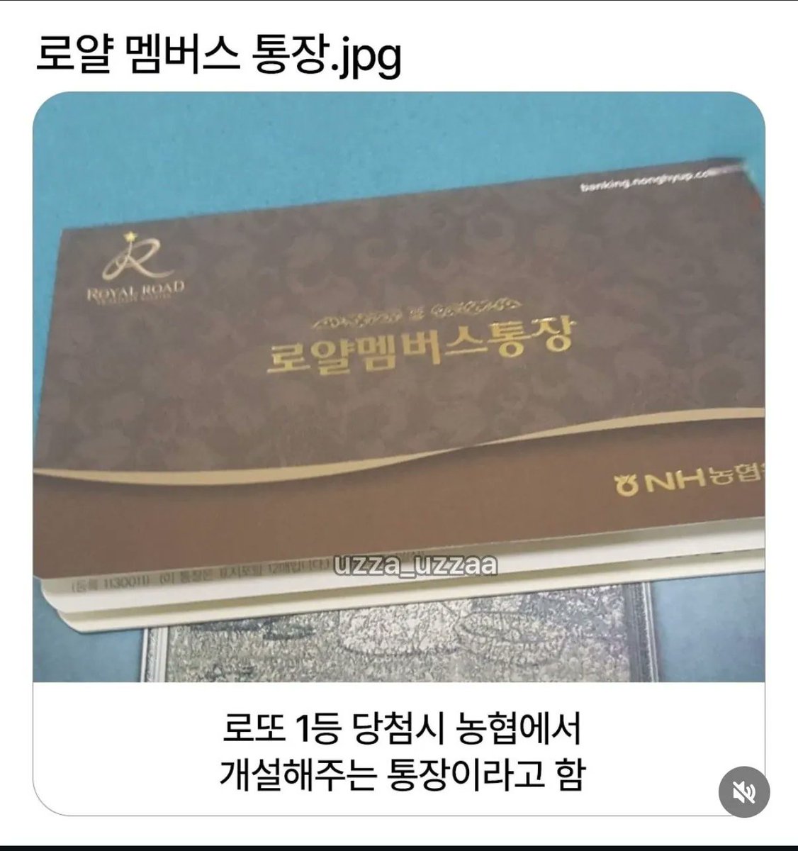 잔잔돌 tweet media