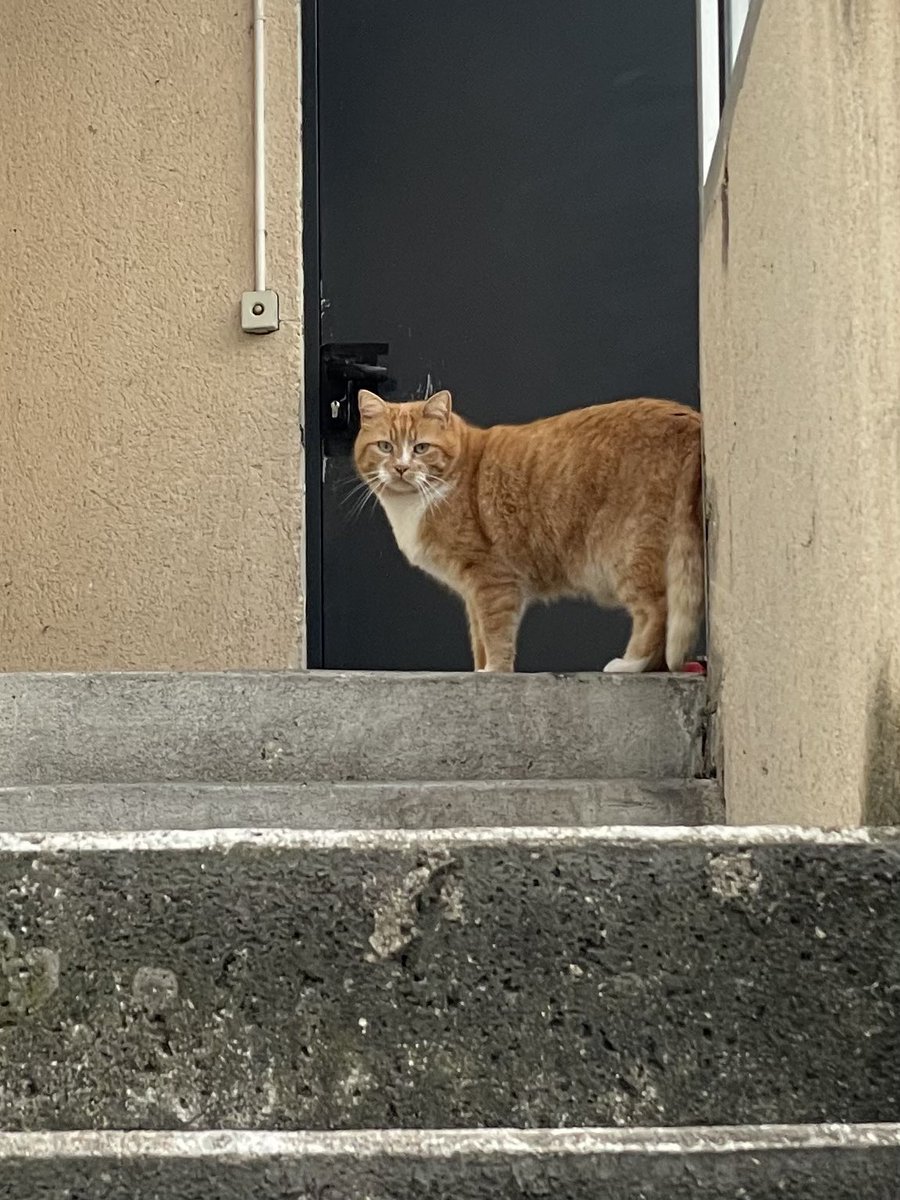 Karine M. Donelle tweet media