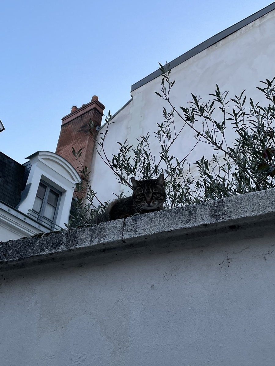 Karine M. Donelle tweet media