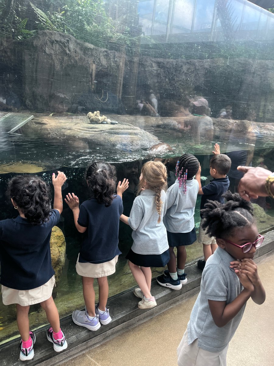 Brandon Academy 🦂 tweet media