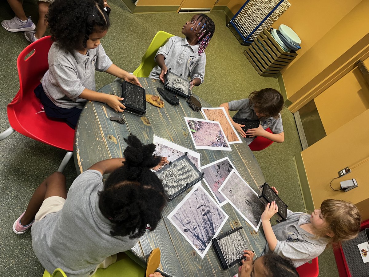 Brandon Academy 🦂 tweet media