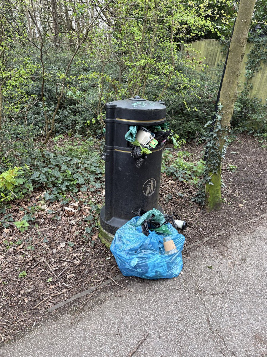 just looking tweet media