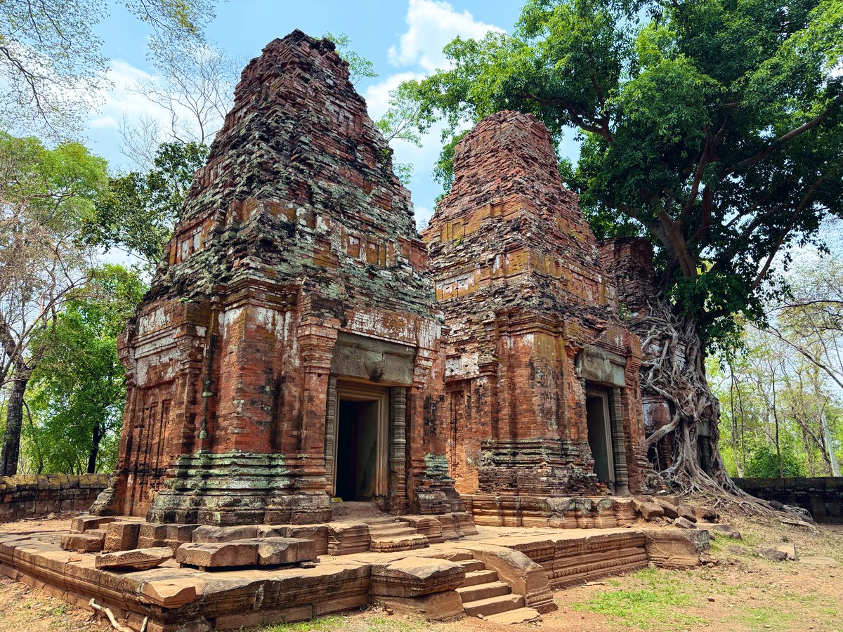 土露団子@すずだんご tweet media