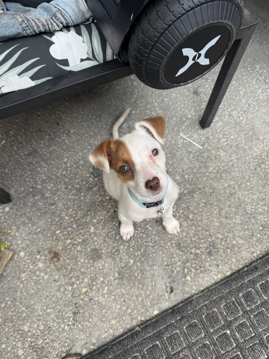 FintechBets.xrp™️ tweet media