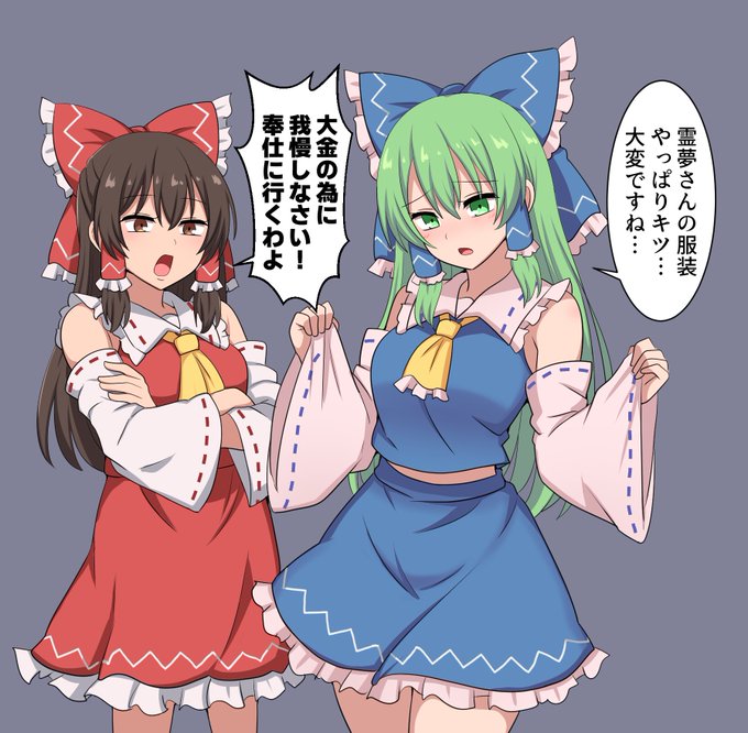 訳あって霊夢と協力する早苗さん 