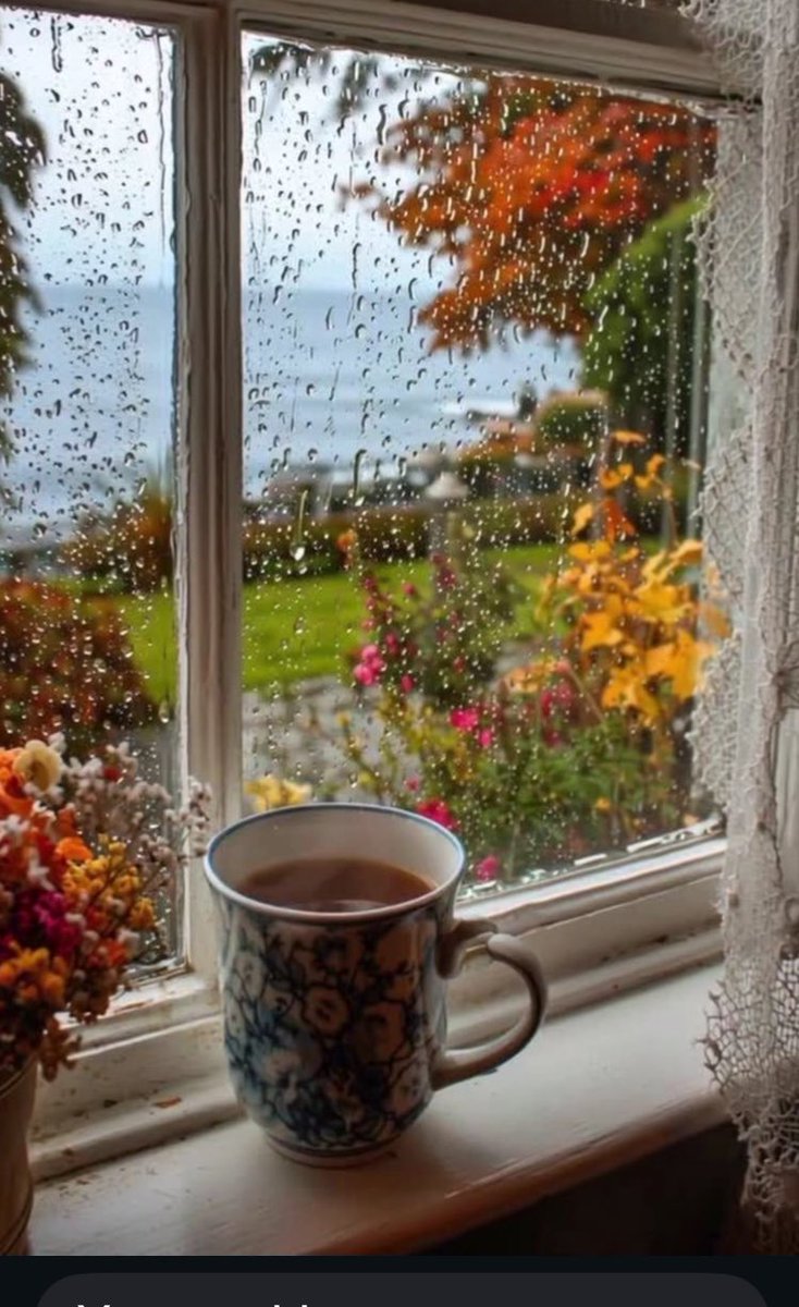 🦋 Nilgün 🦋 tweet media