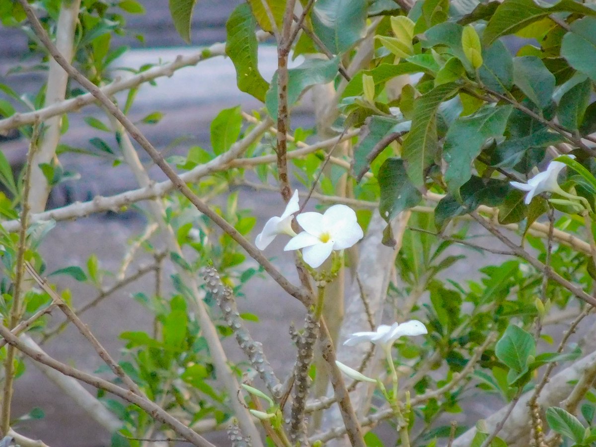 Universidad de Las Tunas tweet media