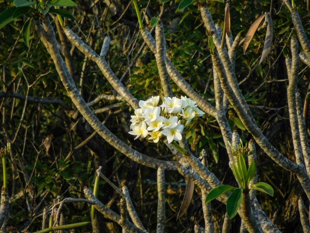 Universidad de Las Tunas tweet media