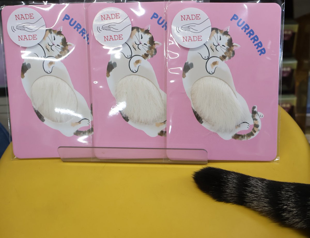 ねこがいる文具店万年堂 tweet media