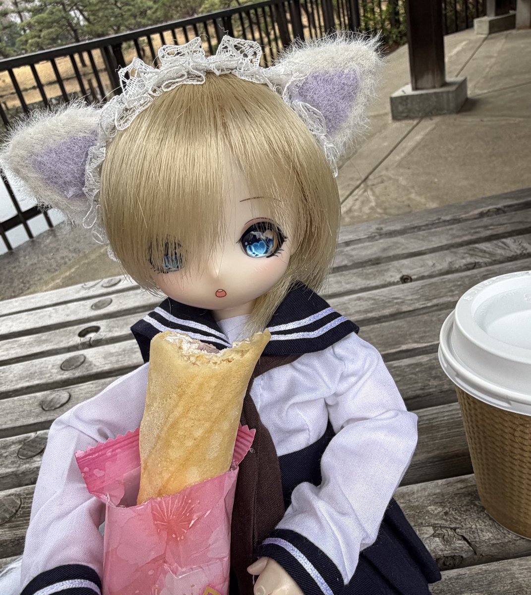 もちゃたろう tweet media