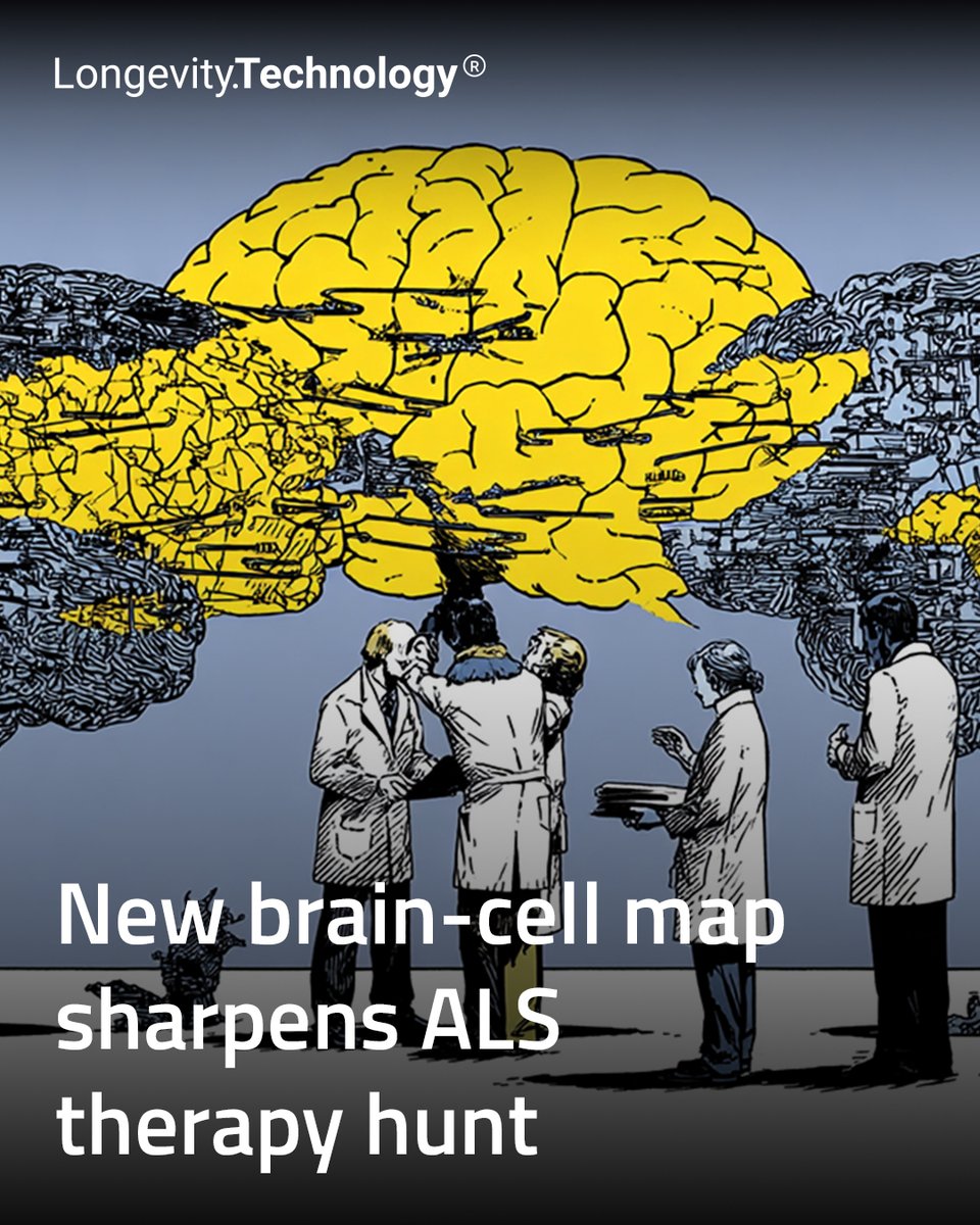 LongevityTech's tweet image. Researchers pinpoint the exact neurons hit hardest by TDP-43, offering a more precise path toward future treatments for ALS and dementia.

vist.ly/4vsmb

#longevity #als #dementia #neuroscience #geroscience