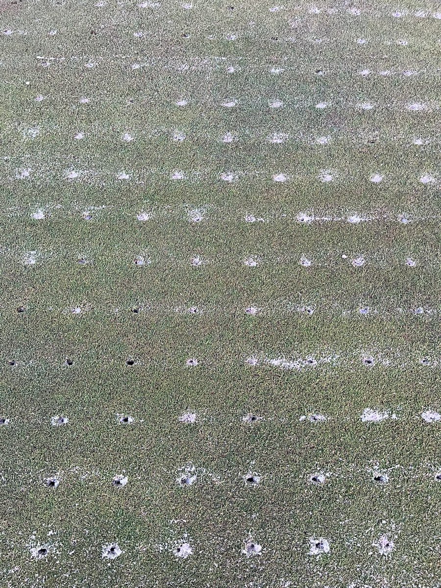 TN National Golf Agronomy tweet media