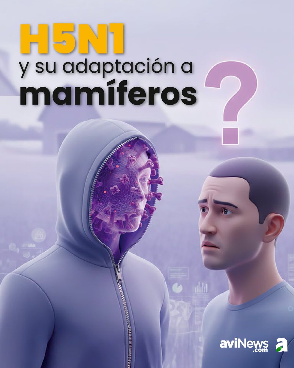 aviNews España - Revista tweet media
