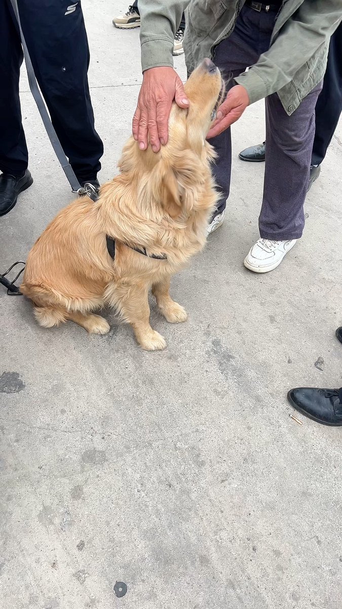 Jay Mackey tweet media