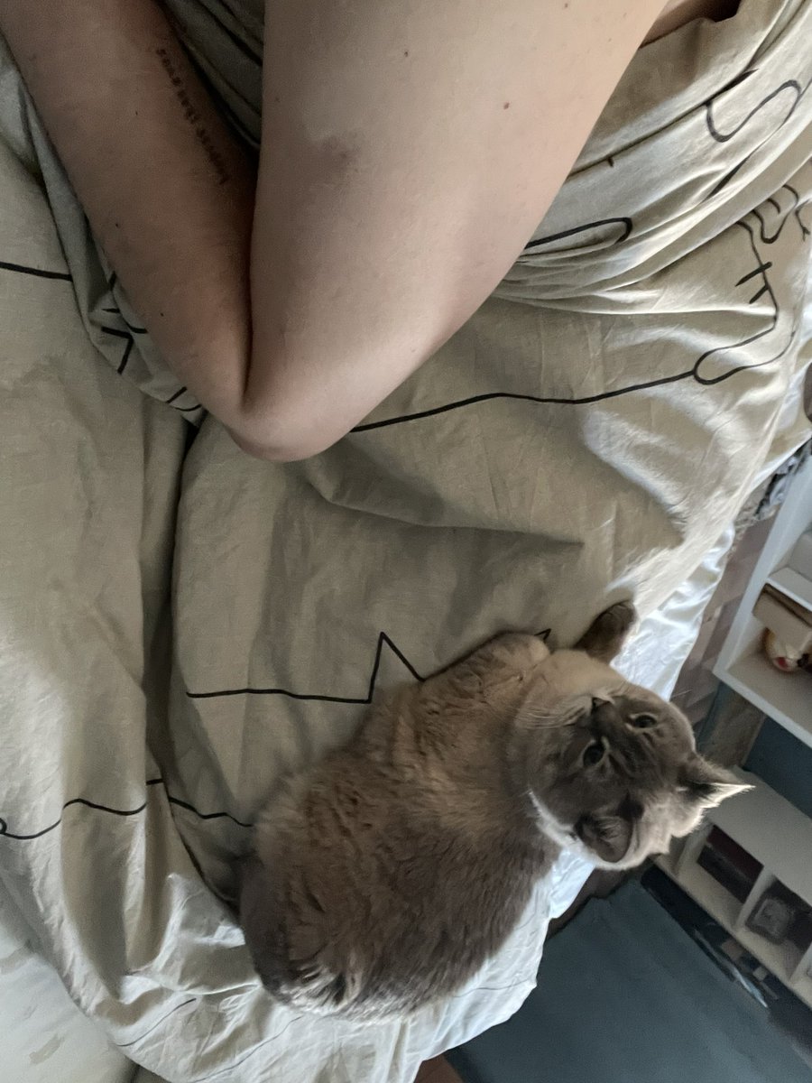 двухметровый вершилкин! tweet media