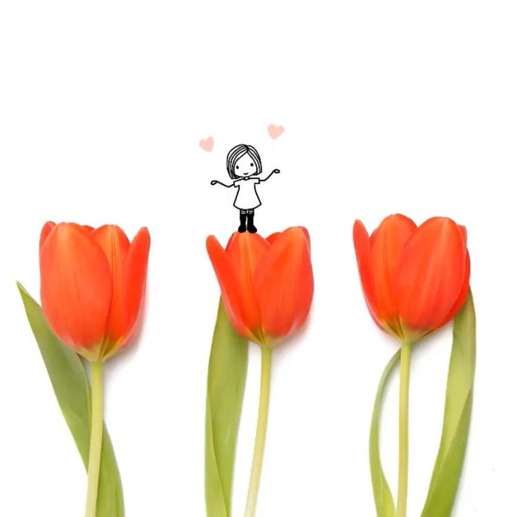 1d flower shop ✧༘˚ tweet media