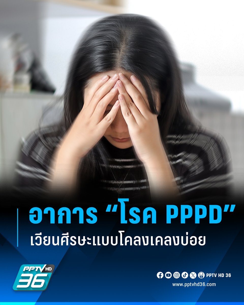 PPTV HD 36 tweet media