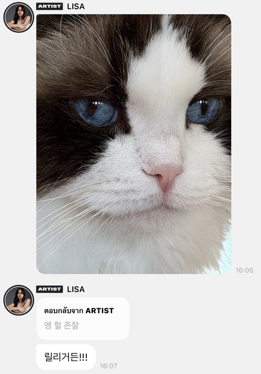 LALICE UPDATES tweet media