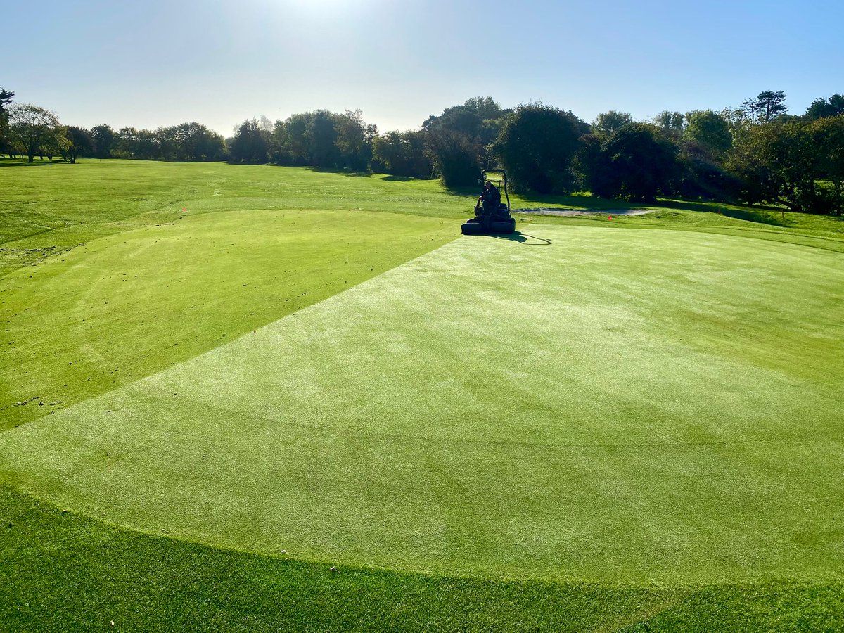 Bognor Regis Golf Club tweet media