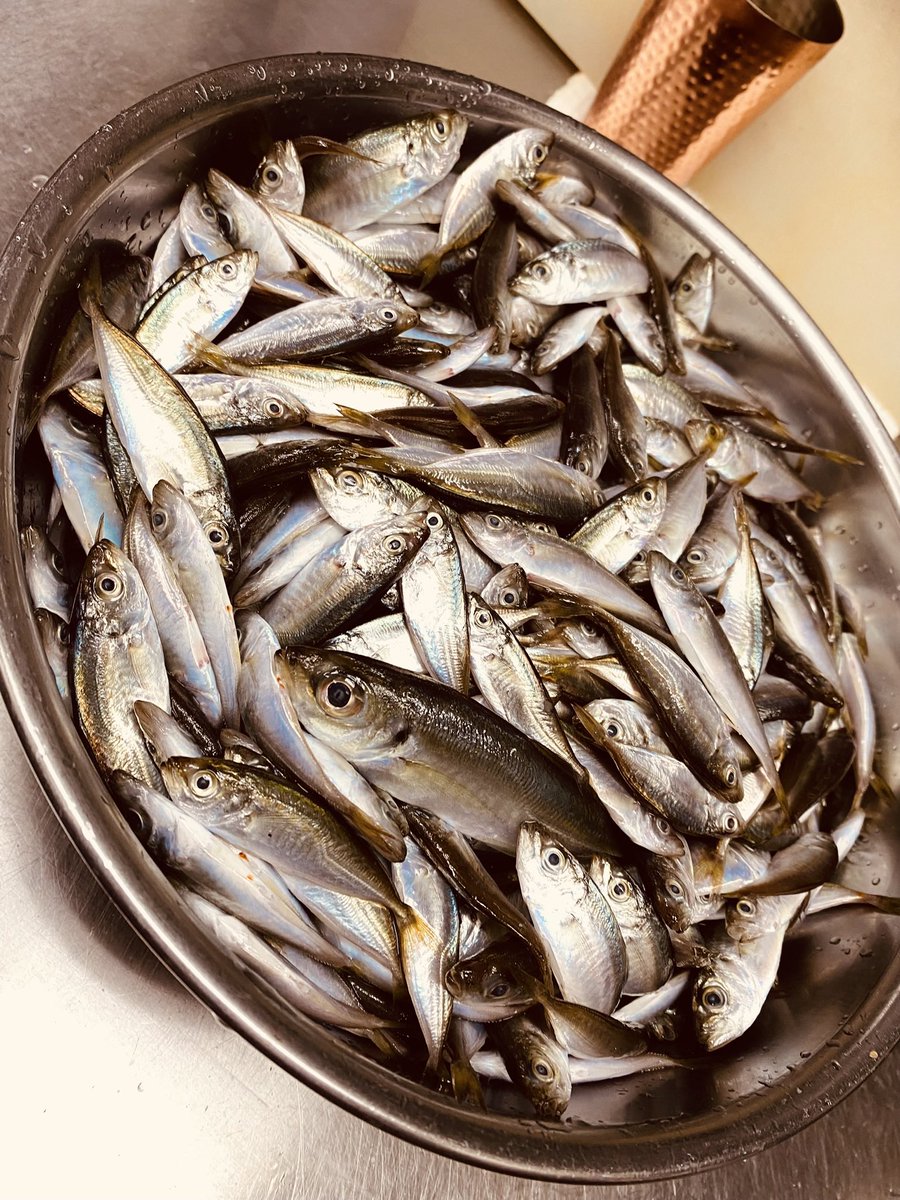 喜笑 KISSHOW tweet media