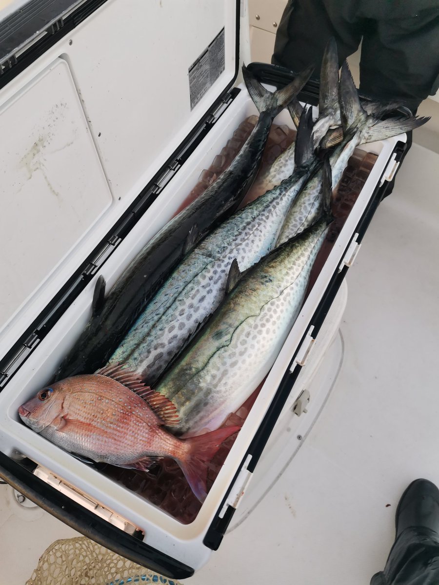 つだ_21style tweet media