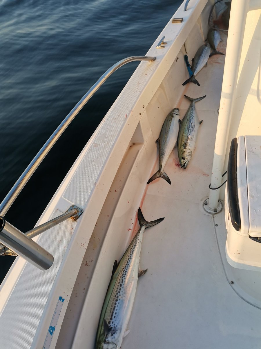 つだ_21style tweet media