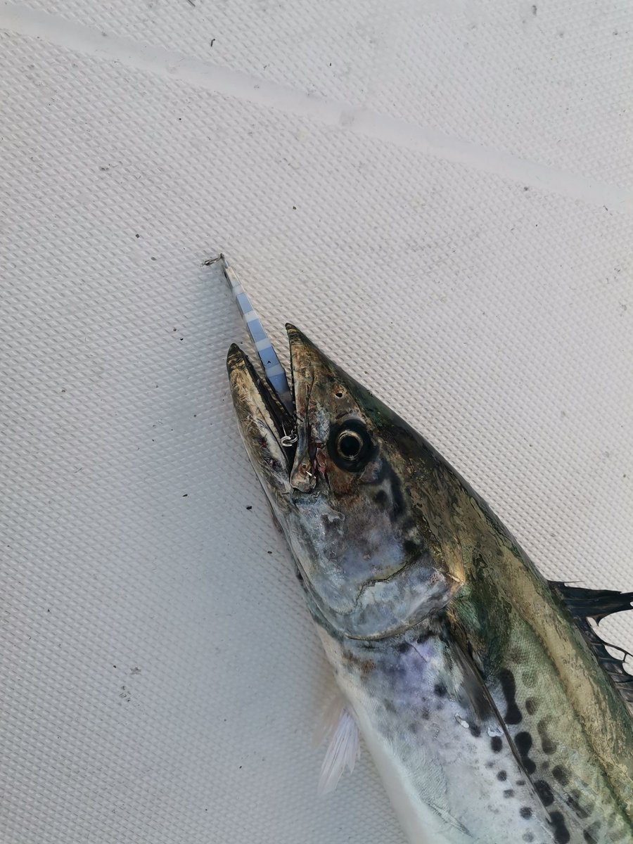 つだ_21style tweet media