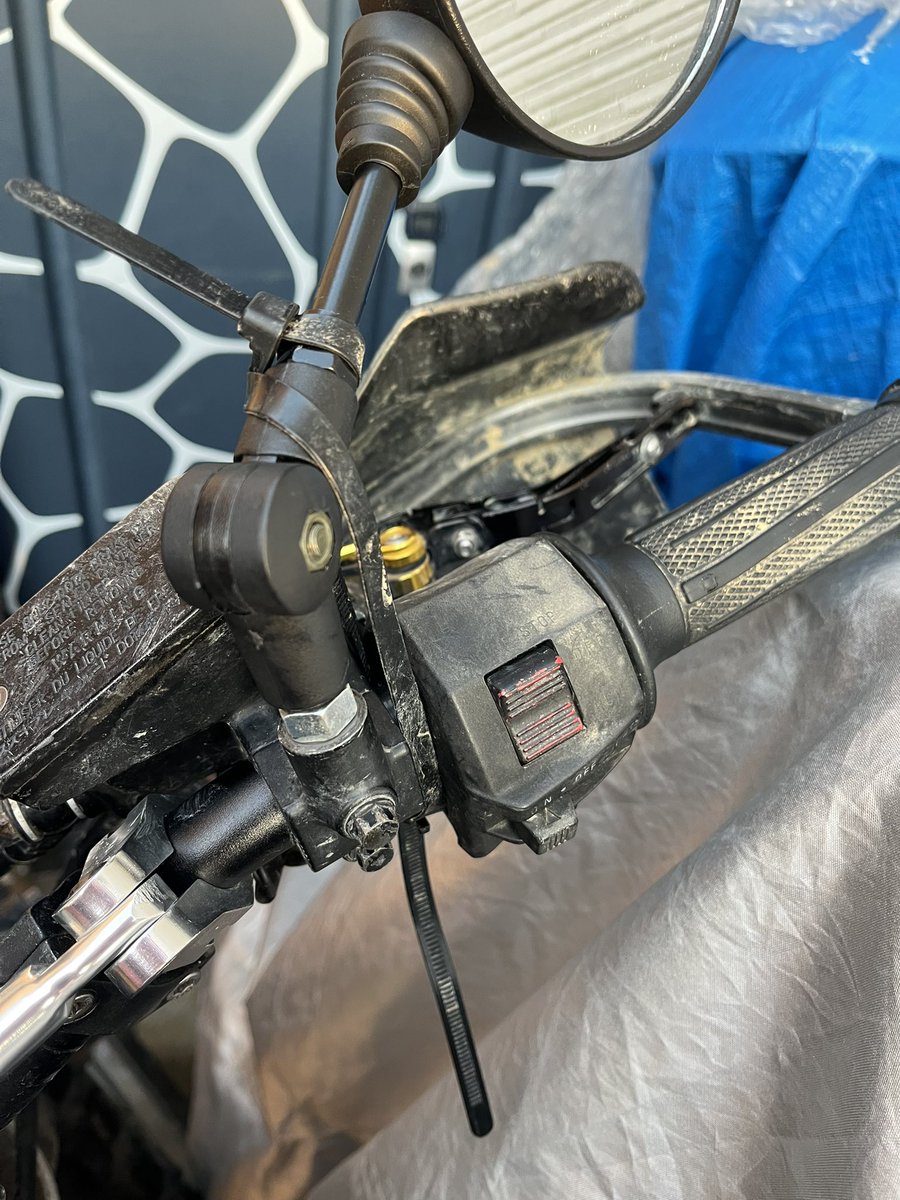 オフバンちゃん😇 tweet media