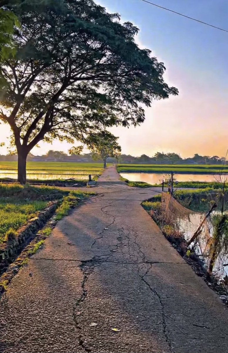 Ziyya🌻 tweet media