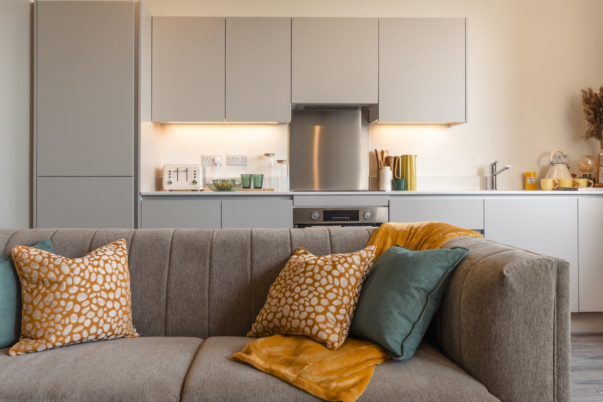 Love to Rent tweet media