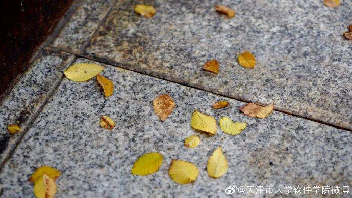 Eli Ramos da silva tweet media