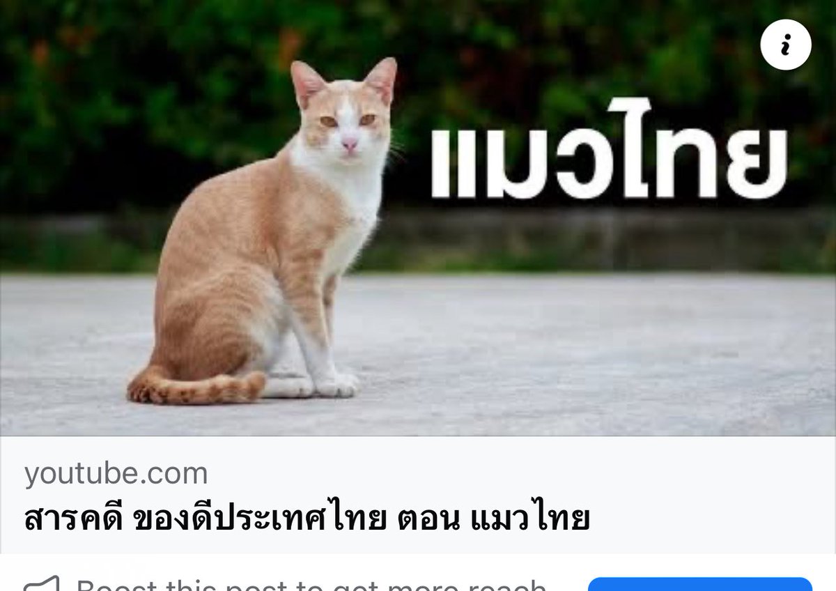 Next Step tweet media