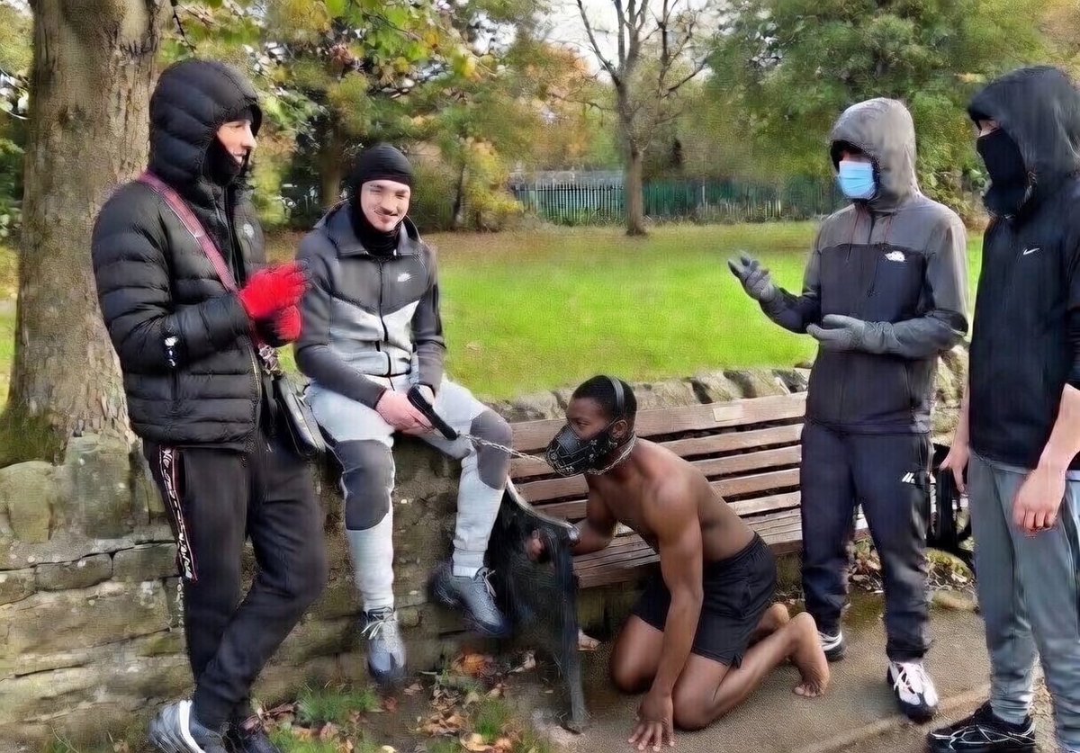 Scally White Superior Boys tweet media