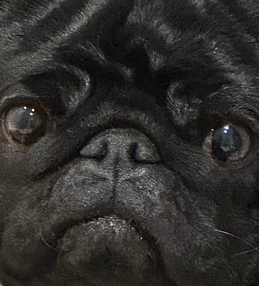 всепросто tweet media